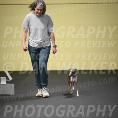 SUN507_0045