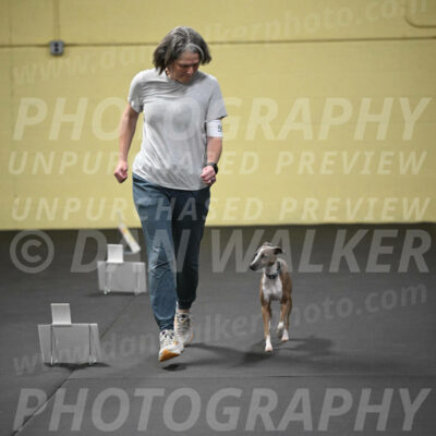 SUN507_0054