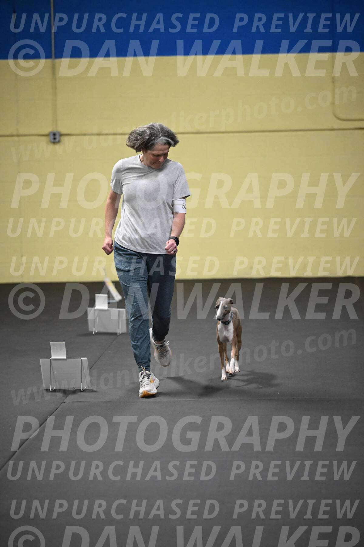 SUN507_0055