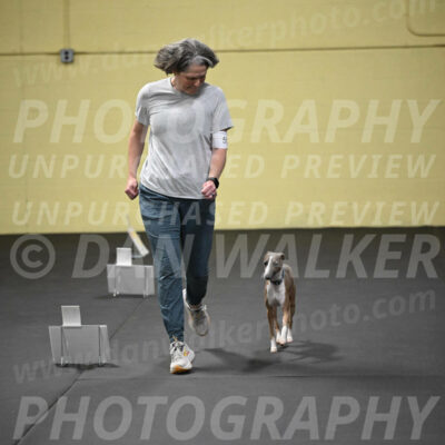 SUN507_0055