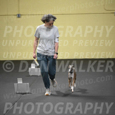 SUN507_0056