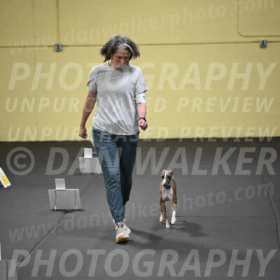SUN507_0061