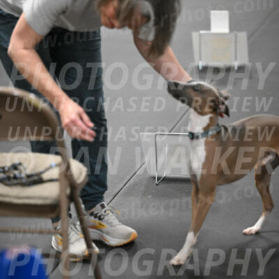 SUN507_0072