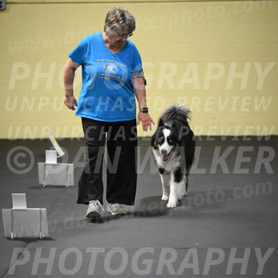SUN513_0067