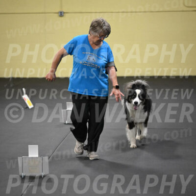 SUN513_0084