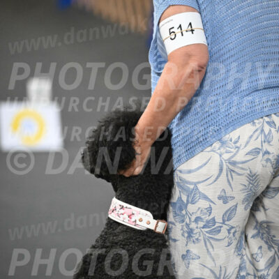 SUN514_0001