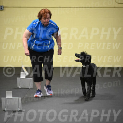 SUN518_0035