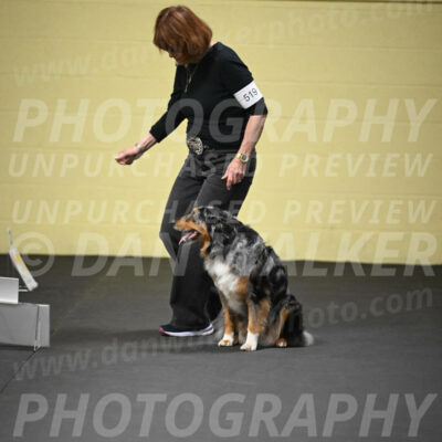 SUN519_0023