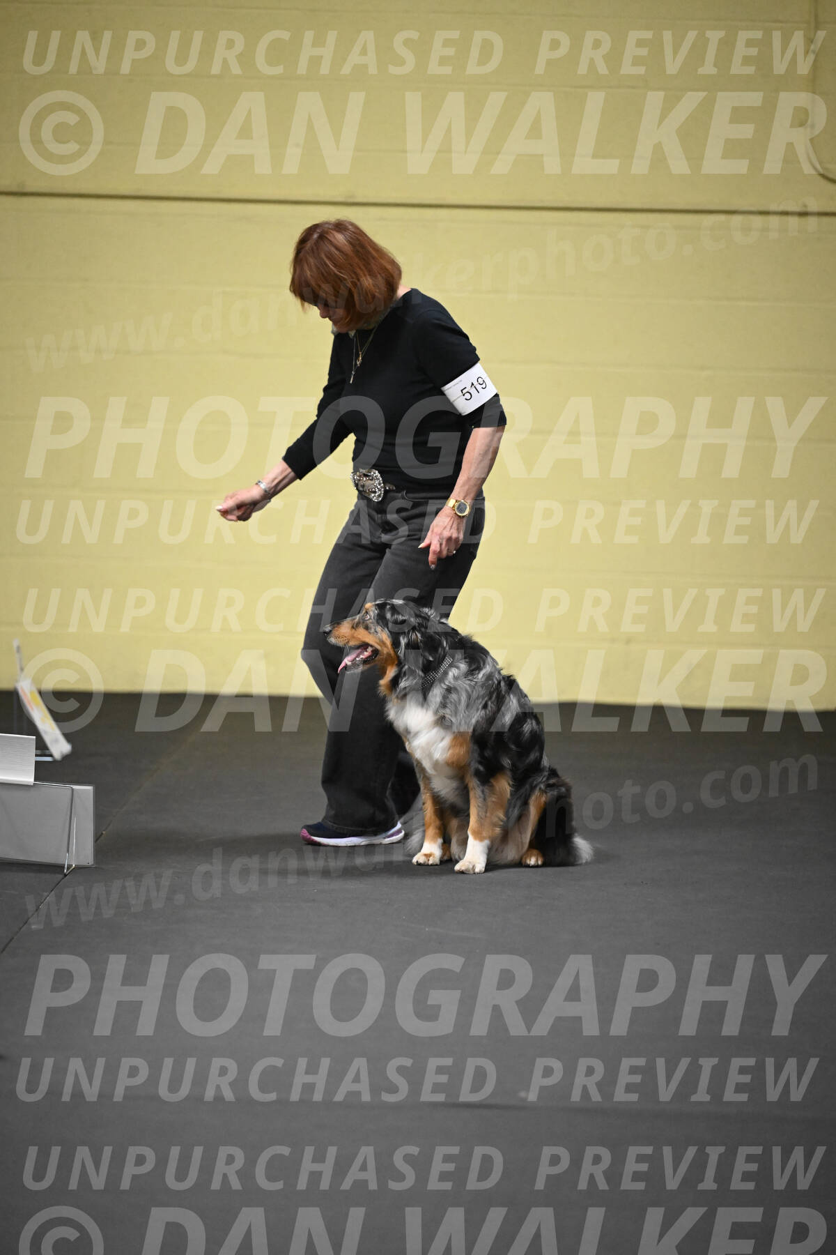 SUN519_0023