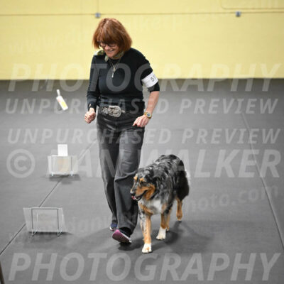 SUN519_0057