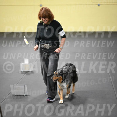 SUN519_0058