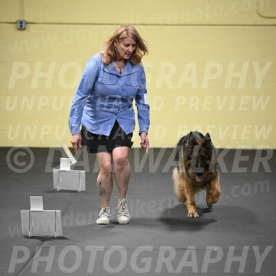 SUN520_0062