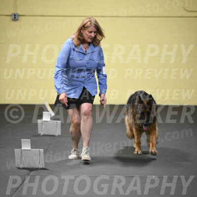 SUN520_0063