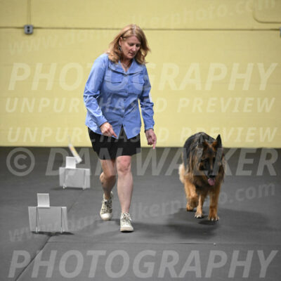 SUN520_0065