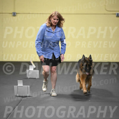 SUN520_0066