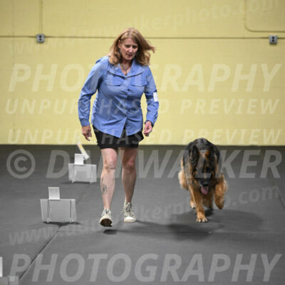 SUN520_0067