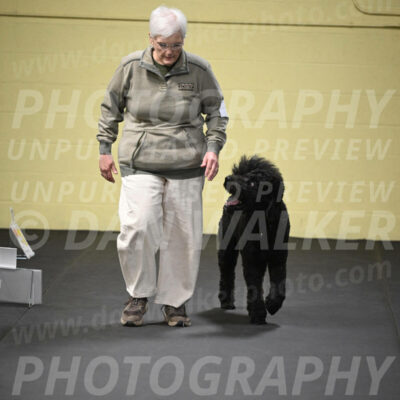 SUN521_0046