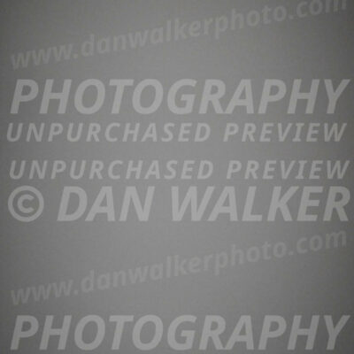 SUN522_0011