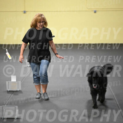 SUN524_0057