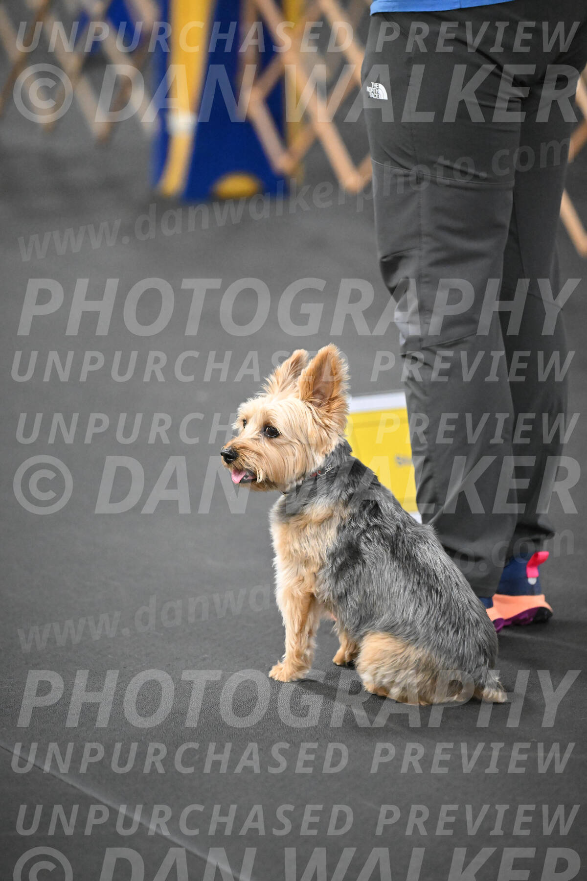 SUN601_0012