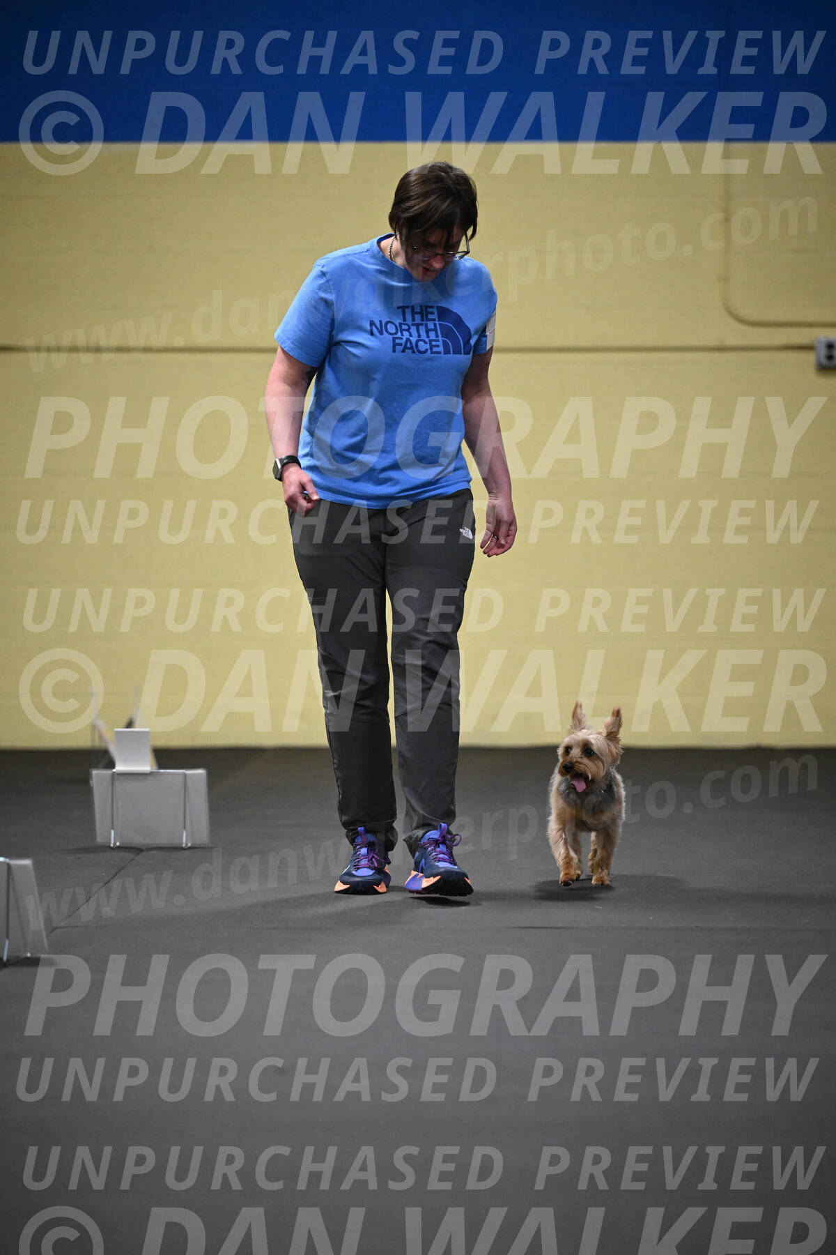 SUN601_0046