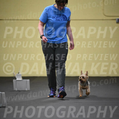 SUN601_0047
