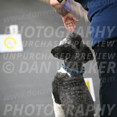 SUN602_0012