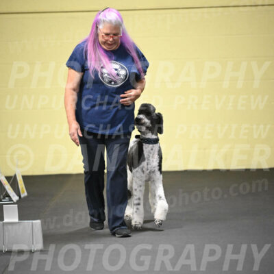 SUN602_0036