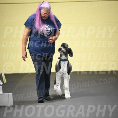 SUN602_0039