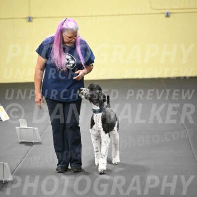 SUN602_0095