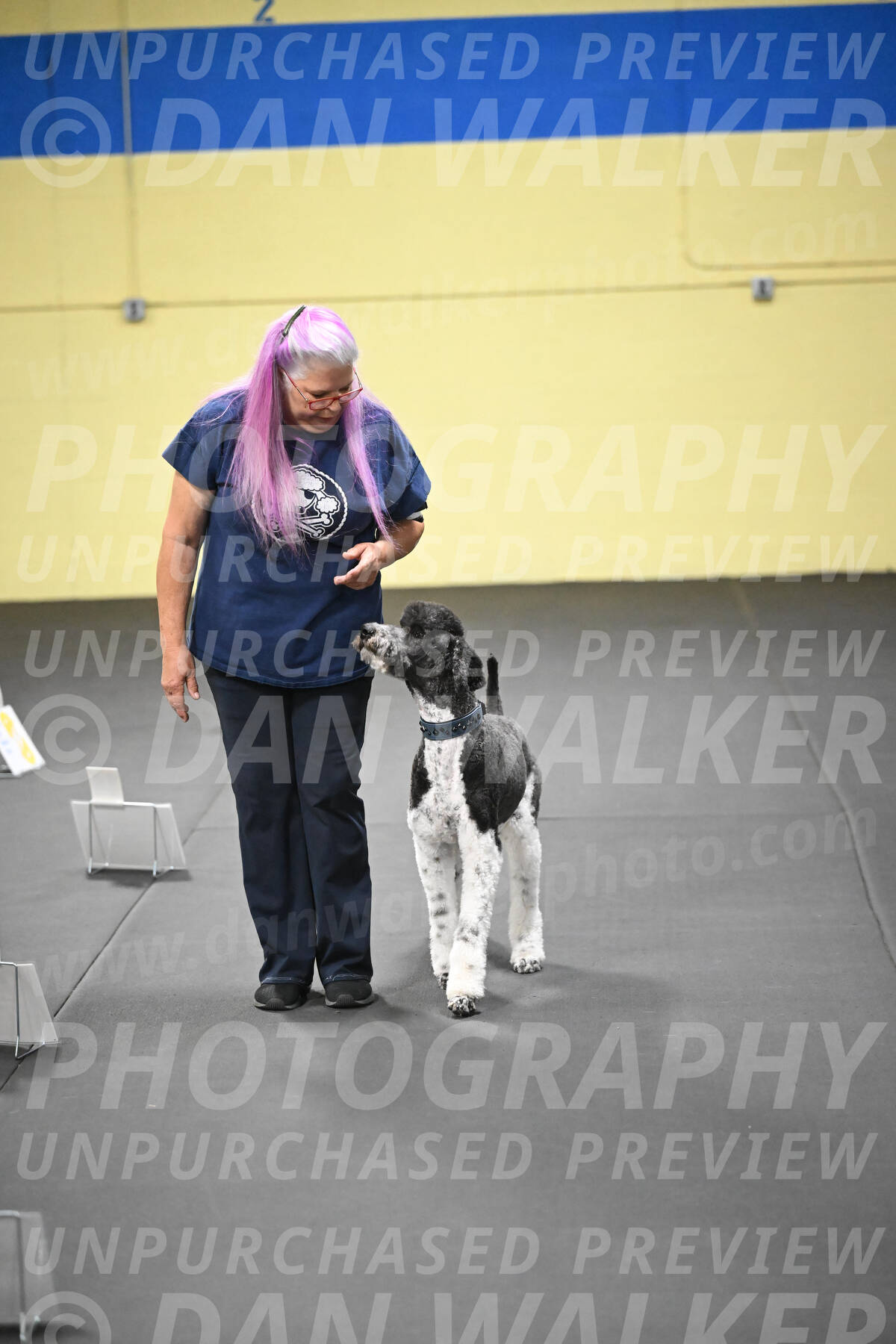 SUN602_0095
