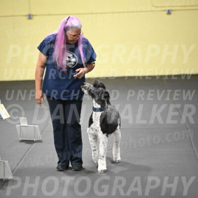 SUN602_0096
