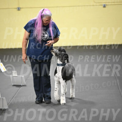 SUN602_0097