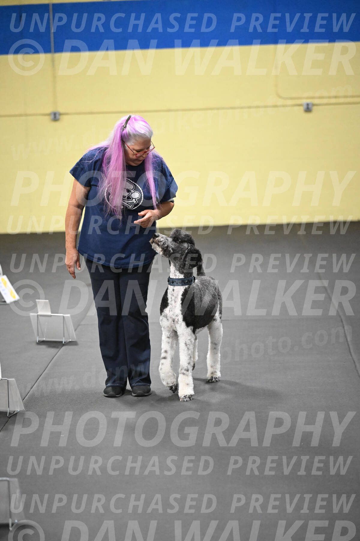 SUN602_0097