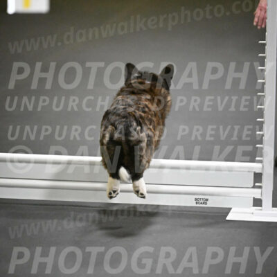 SUN701_0013