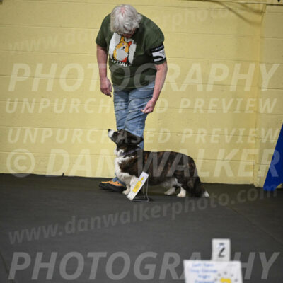 SUN701_0023