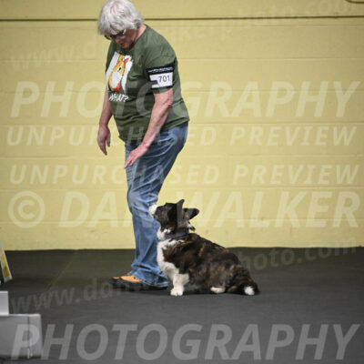 SUN701_0031