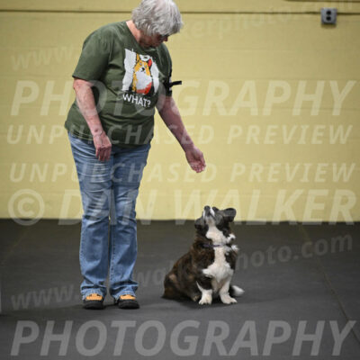 SUN701_0055