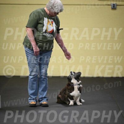 SUN701_0056