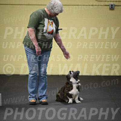 SUN701_0057