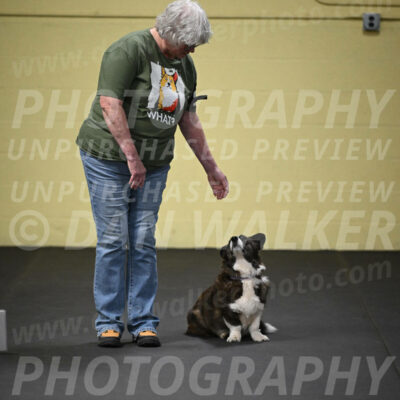 SUN701_0058