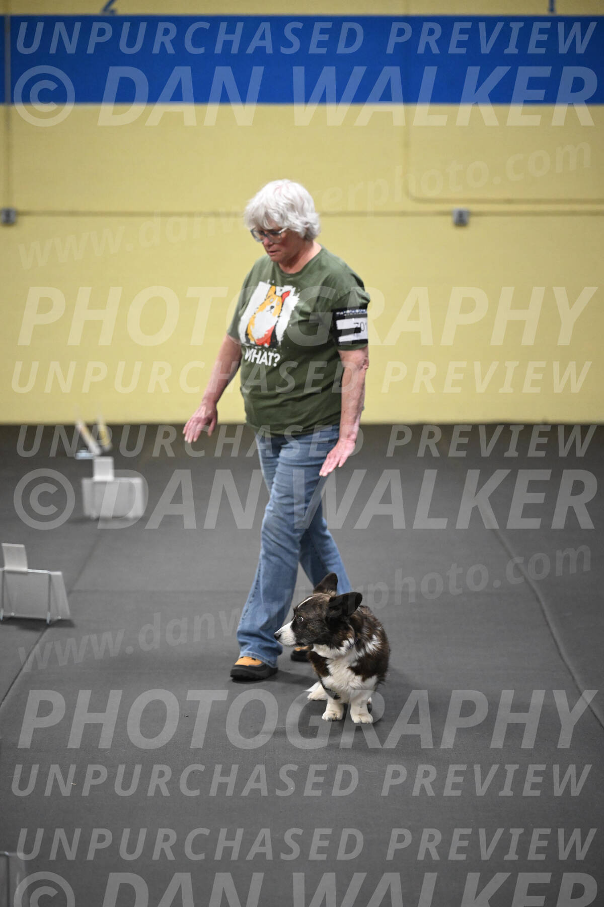 SUN701_0096