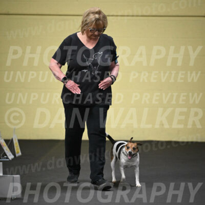 SUN703_0027