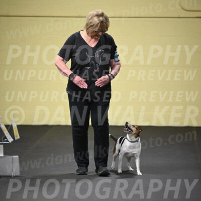 SUN703_0033