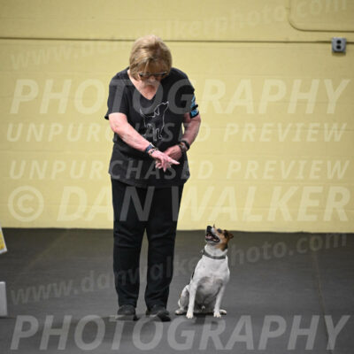 SUN703_0037