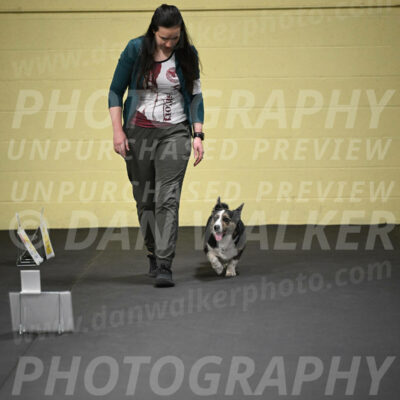 SUN705_0013