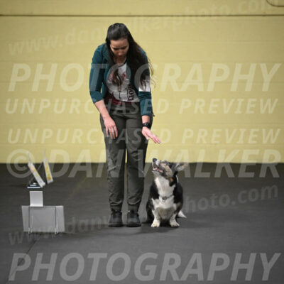 SUN705_0033