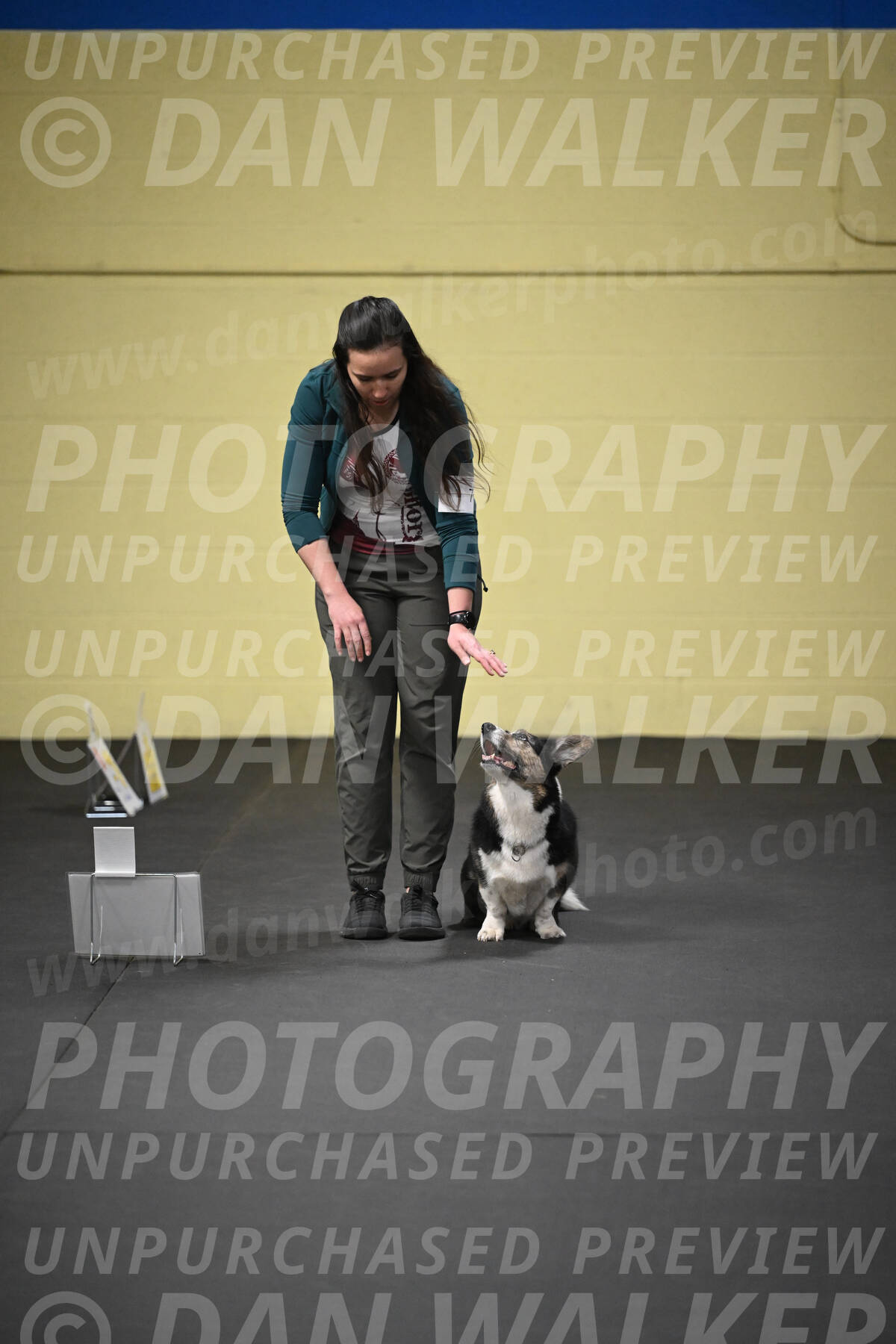 SUN705_0033