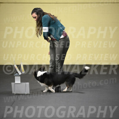 SUN705_0035