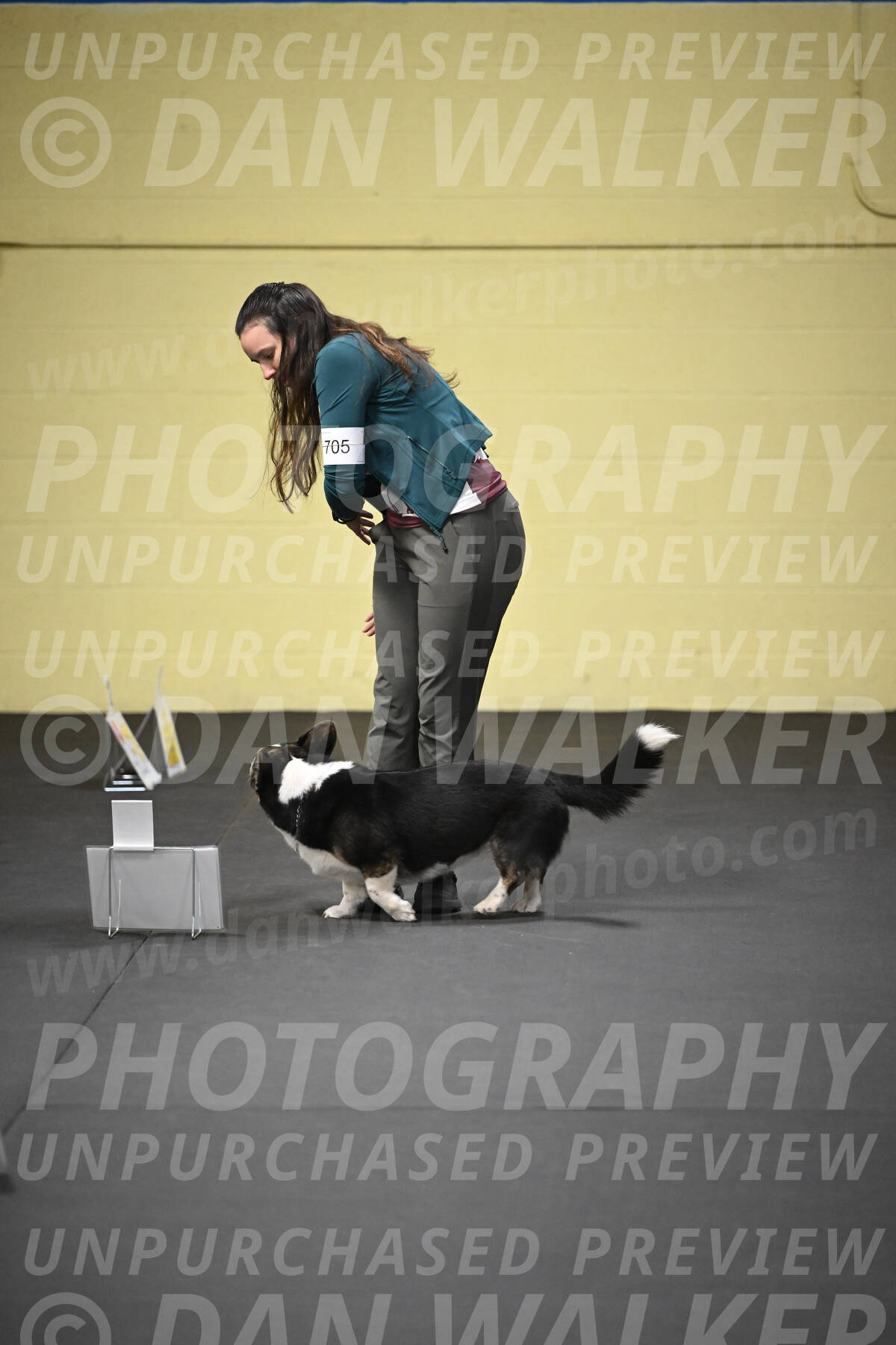 SUN705_0035